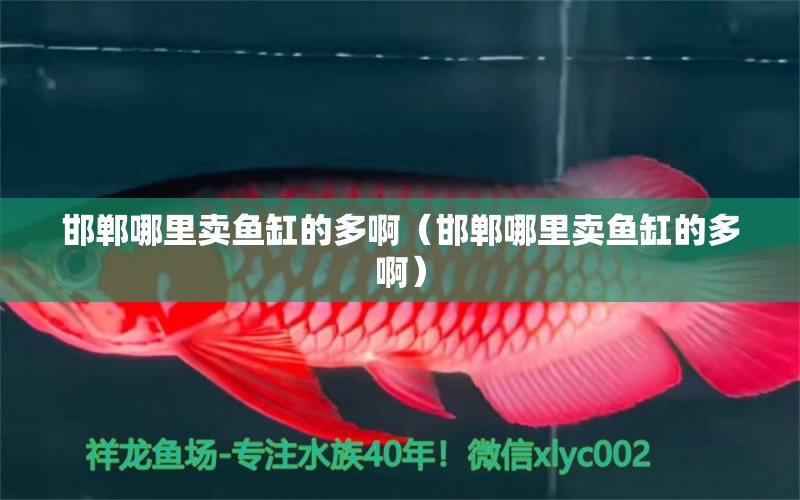 邯鄲哪里賣魚缸的多?。ê惸睦镔u魚缸的多?。? title=