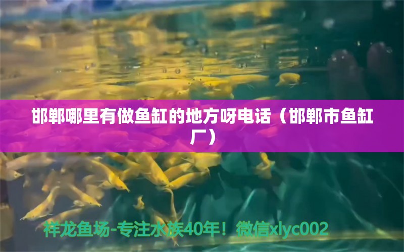 邯鄲哪里有做魚缸的地方呀電話（邯鄲市魚缸廠）