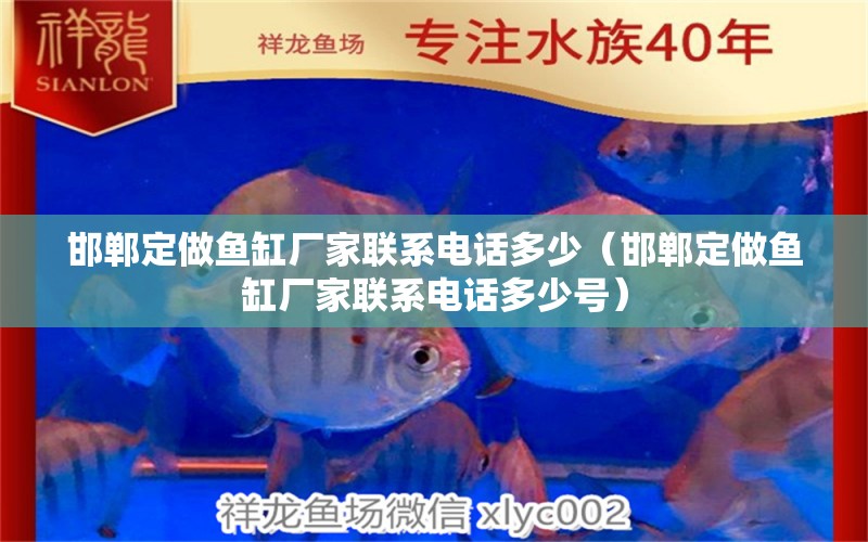 邯鄲定做魚缸廠家聯(lián)系電話多少（邯鄲定做魚缸廠家聯(lián)系電話多少號） 細(xì)線銀版魚