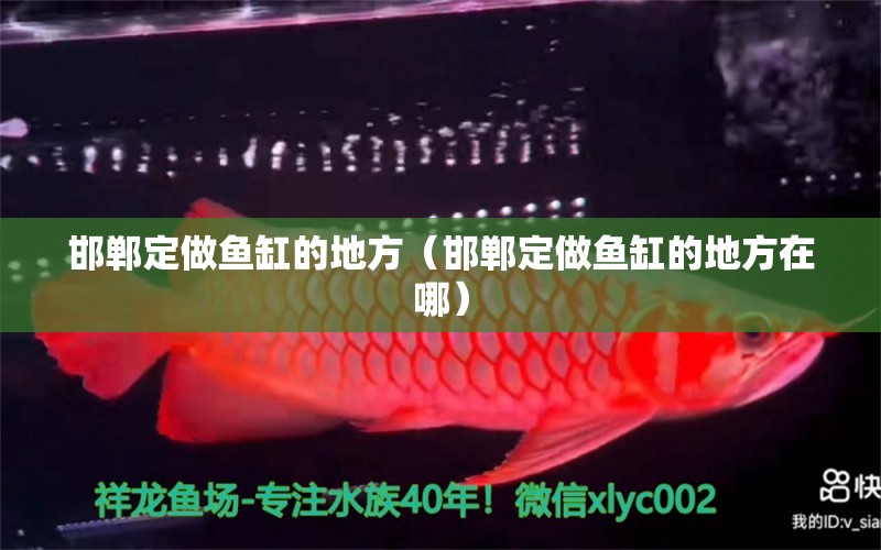 邯鄲定做魚缸的地方（邯鄲定做魚缸的地方在哪）