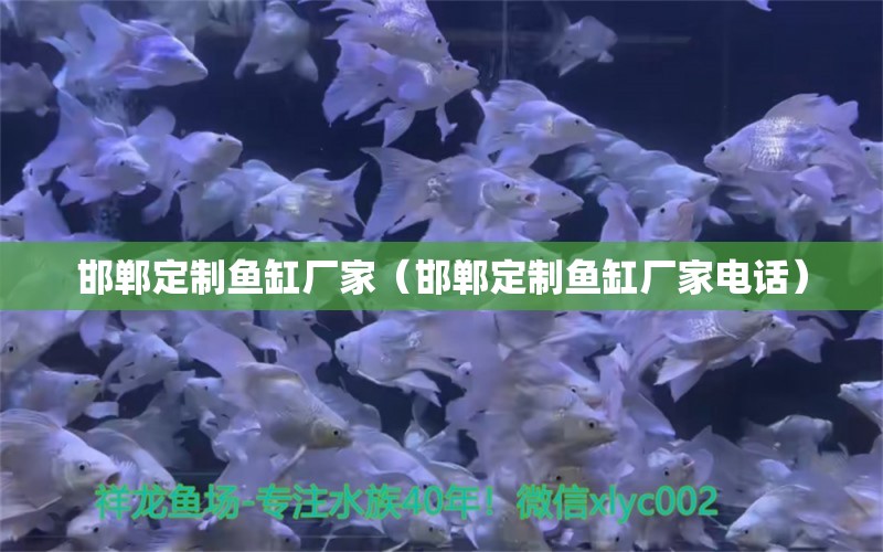 邯鄲定制魚缸廠家（邯鄲定制魚缸廠家電話）