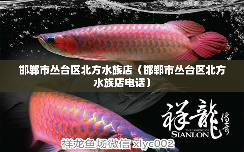 邯鄲市叢臺區(qū)北方水族店（邯鄲市叢臺區(qū)北方水族店電話）