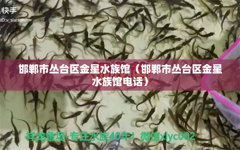 邯鄲市叢臺區(qū)金星水族館（邯鄲市叢臺區(qū)金星水族館電話）