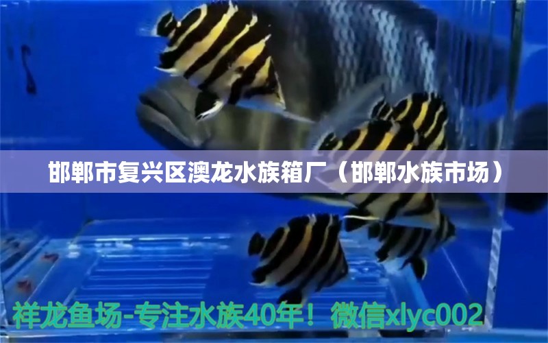 邯鄲市復興區(qū)澳龍水族箱廠（邯鄲水族市場）