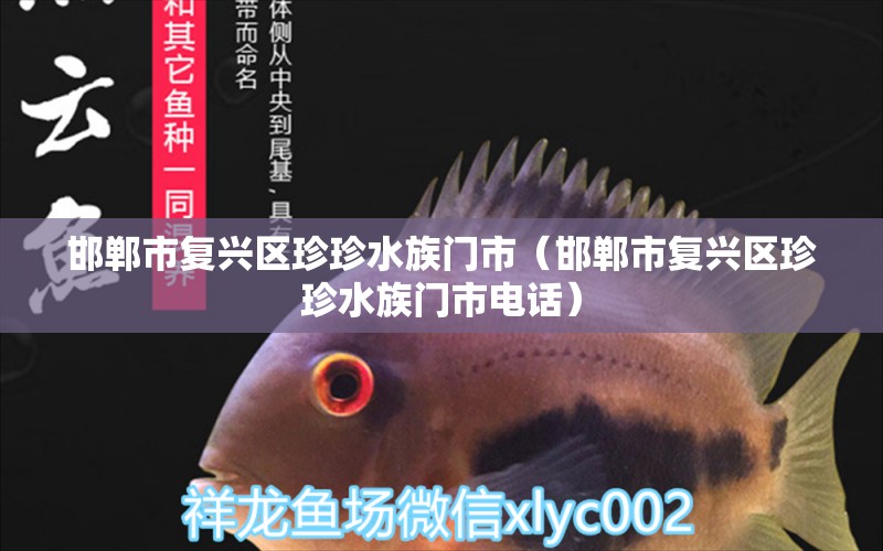 邯鄲市復興區(qū)珍珍水族門市（邯鄲市復興區(qū)珍珍水族門市電話） 全國水族館企業(yè)名錄 第2張