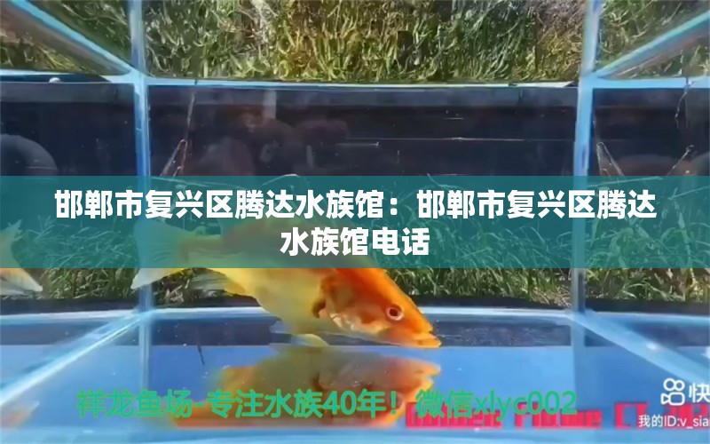 邯鄲市復(fù)興區(qū)騰達(dá)水族館：邯鄲市復(fù)興區(qū)騰達(dá)水族館電話 全國水族館企業(yè)名錄