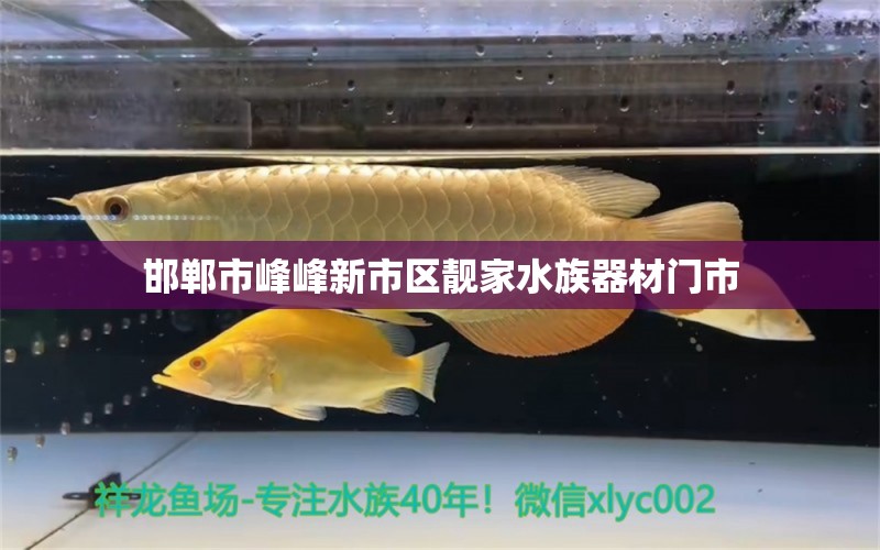 邯鄲市峰峰新市區(qū)靚家水族器材門市