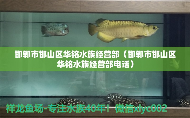 邯鄲市邯山區(qū)華銘水族經(jīng)營部（邯鄲市邯山區(qū)華銘水族經(jīng)營部電話）