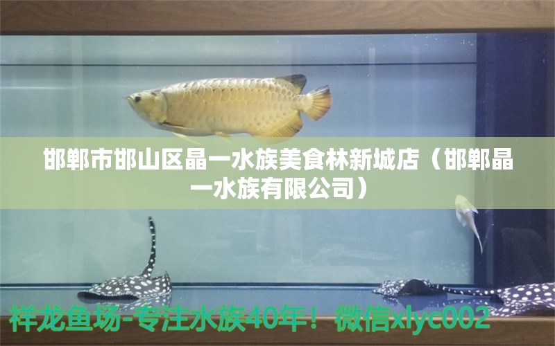 邯鄲市邯山區(qū)晶一水族美食林新城店（邯鄲晶一水族有限公司）