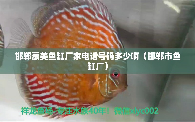 邯鄲豪美魚(yú)缸廠家電話號(hào)碼多少?。ê愂恤~(yú)缸廠） 金三間魚(yú)