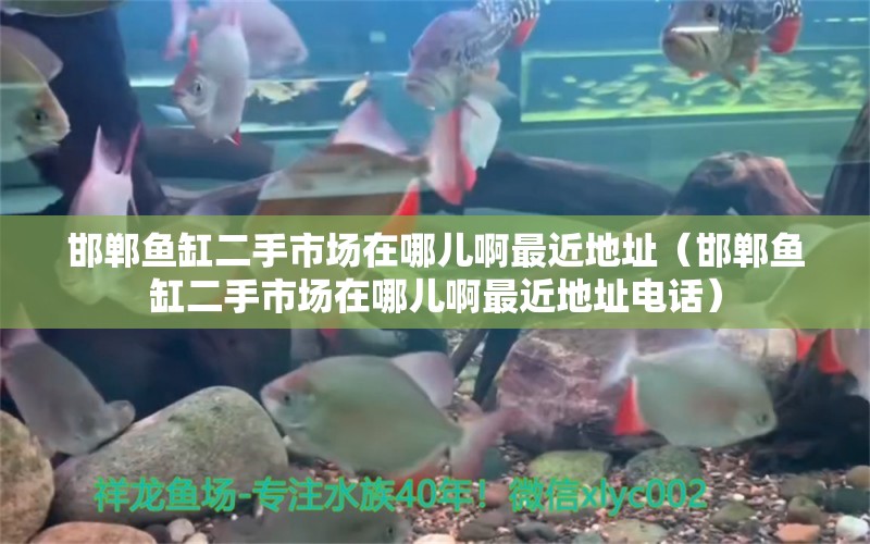 邯鄲魚缸二手市場在哪兒啊最近地址（邯鄲魚缸二手市場在哪兒啊最近地址電話）