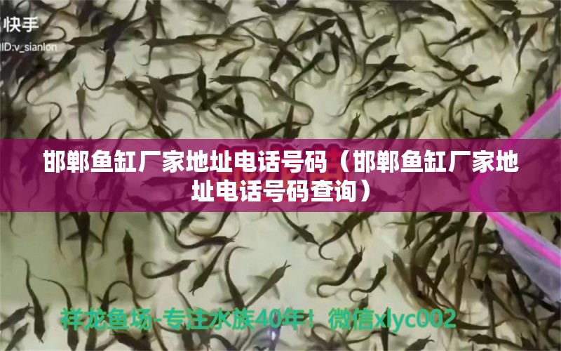 邯鄲魚(yú)缸廠家地址電話號(hào)碼（邯鄲魚(yú)缸廠家地址電話號(hào)碼查詢）