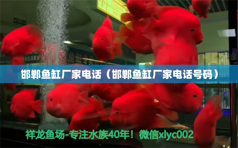 邯鄲魚缸廠家電話（邯鄲魚缸廠家電話號(hào)碼） 其他品牌魚缸