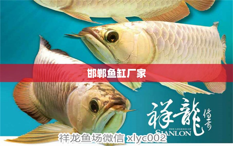 邯鄲魚(yú)缸廠家