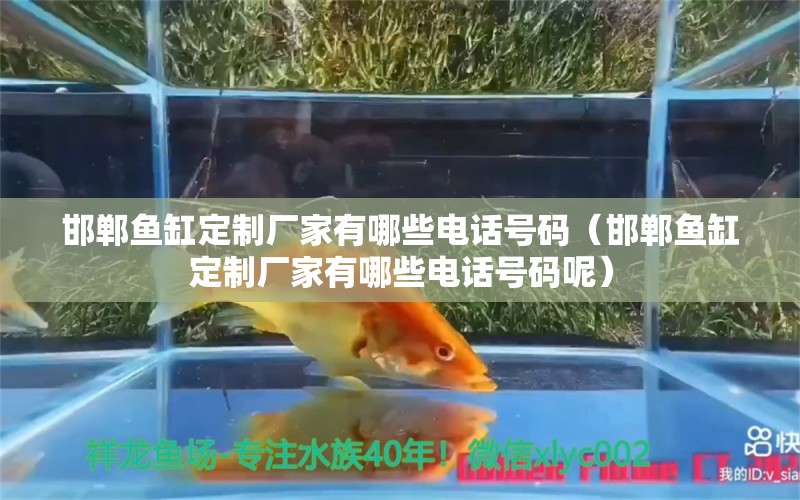 邯鄲魚缸定制廠家有哪些電話號碼（邯鄲魚缸定制廠家有哪些電話號碼呢）