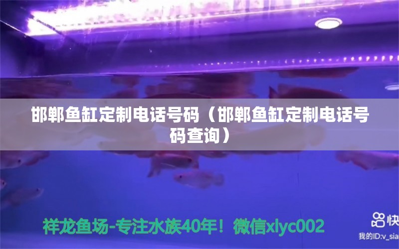 邯鄲魚缸定制電話號碼（邯鄲魚缸定制電話號碼查詢） 祥龍水族醫(yī)院