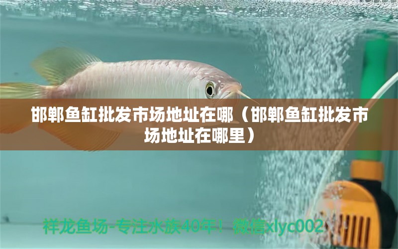 邯鄲魚缸批發(fā)市場(chǎng)地址在哪（邯鄲魚缸批發(fā)市場(chǎng)地址在哪里）