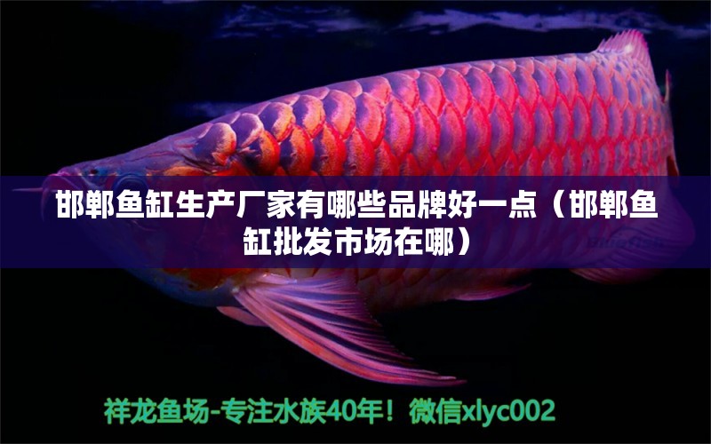 邯鄲魚缸生產(chǎn)廠家有哪些品牌好一點（邯鄲魚缸批發(fā)市場在哪） 黑帝王魟魚