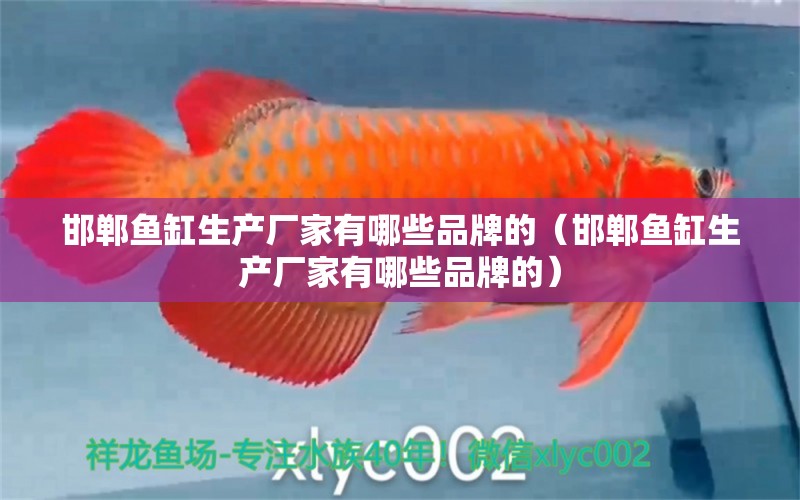 邯鄲魚缸生產(chǎn)廠家有哪些品牌的（邯鄲魚缸生產(chǎn)廠家有哪些品牌的）