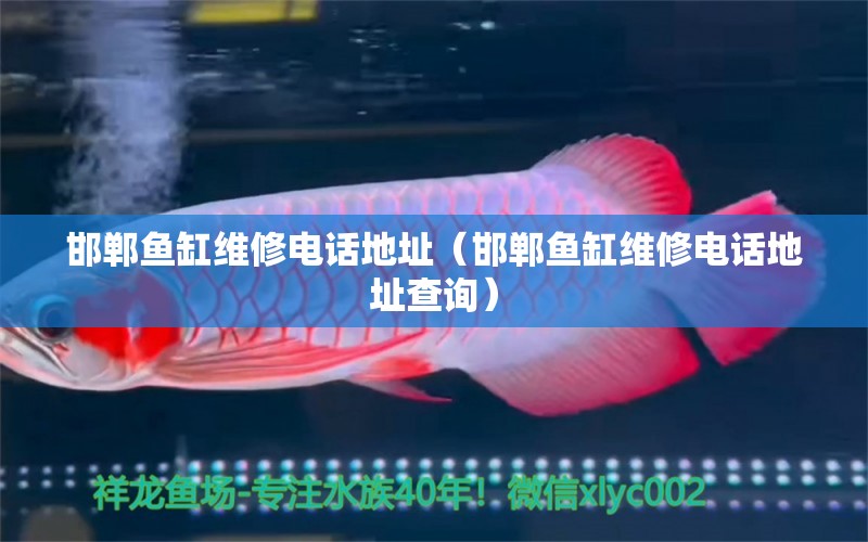 邯鄲魚缸維修電話地址（邯鄲魚缸維修電話地址查詢）