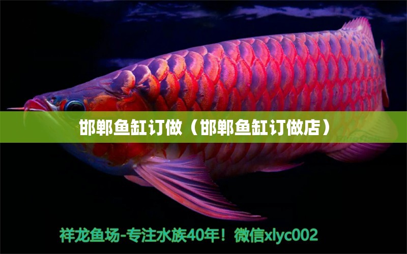 邯鄲魚缸訂做（邯鄲魚缸訂做店） 廣州龍魚批發(fā)市場