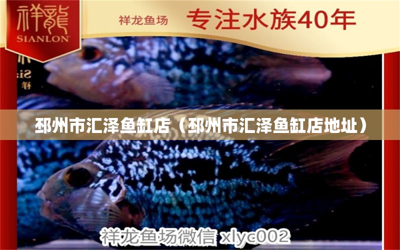 邳州市匯澤魚缸店（邳州市匯澤魚缸店地址）