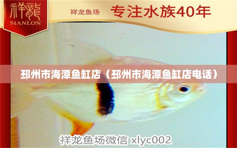 邳州市海潭魚(yú)缸店（邳州市海潭魚(yú)缸店電話）