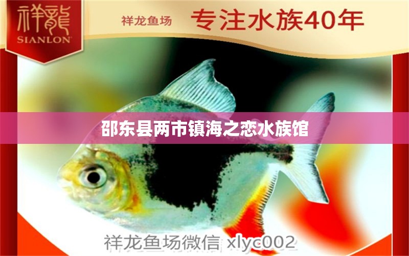 邵東縣兩市鎮(zhèn)海之戀水族館 全國水族館企業(yè)名錄