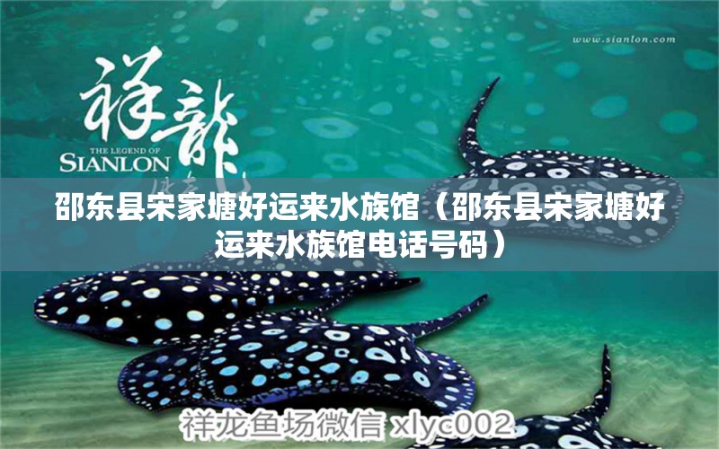 邵東縣宋家塘好運(yùn)來(lái)水族館（邵東縣宋家塘好運(yùn)來(lái)水族館電話(huà)號(hào)碼）