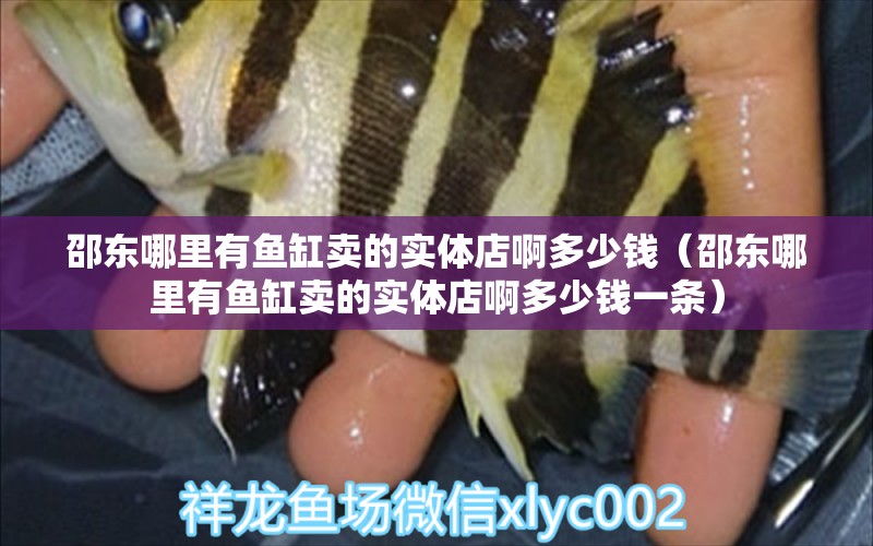 邵東哪里有魚缸賣的實(shí)體店啊多少錢（邵東哪里有魚缸賣的實(shí)體店啊多少錢一條）