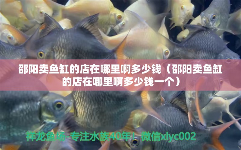 邵陽賣魚缸的店在哪里啊多少錢（邵陽賣魚缸的店在哪里啊多少錢一個(gè)）