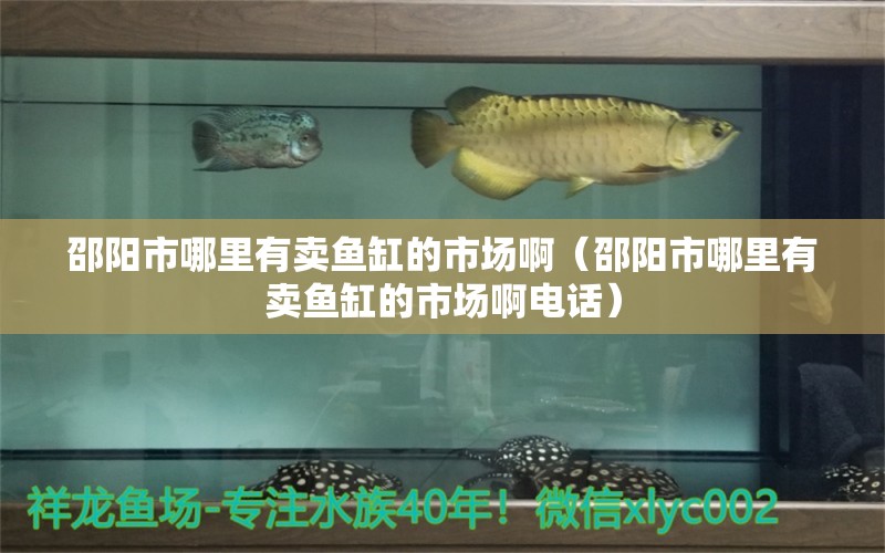 邵陽市哪里有賣魚缸的市場?。ㄉ坳柺心睦镉匈u魚缸的市場啊電話）