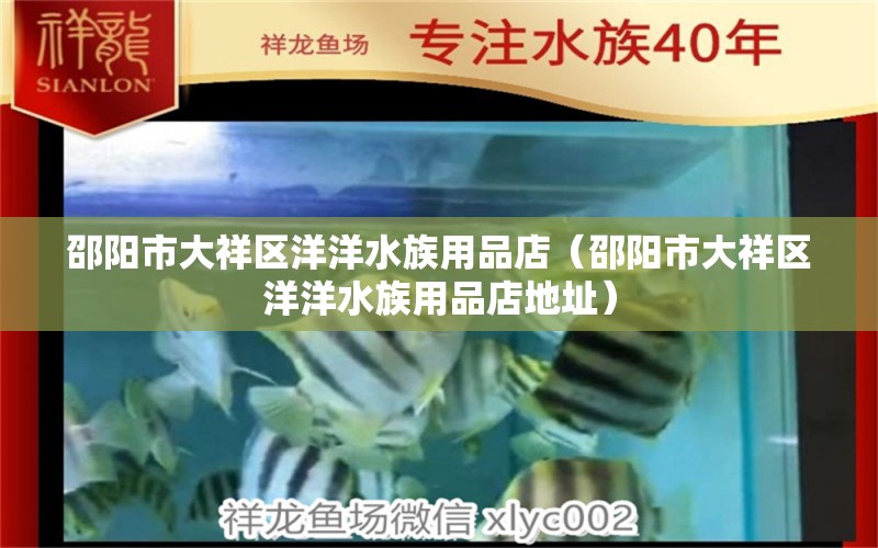 邵陽市大祥區(qū)洋洋水族用品店（邵陽市大祥區(qū)洋洋水族用品店地址） 水族用品