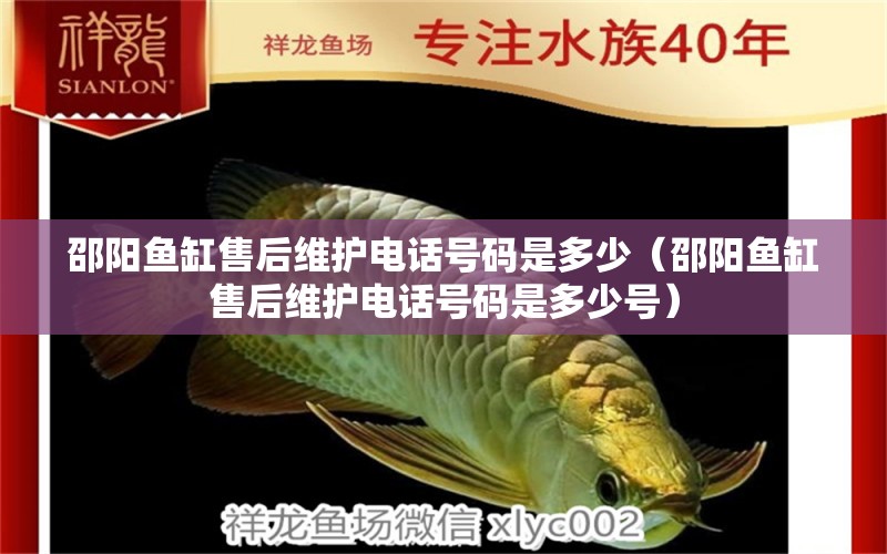 邵陽(yáng)魚(yú)缸售后維護(hù)電話號(hào)碼是多少（邵陽(yáng)魚(yú)缸售后維護(hù)電話號(hào)碼是多少號(hào)） 其他品牌魚(yú)缸