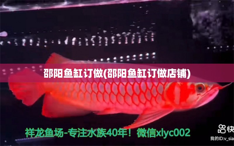 邵陽魚缸訂做(邵陽魚缸訂做店鋪)