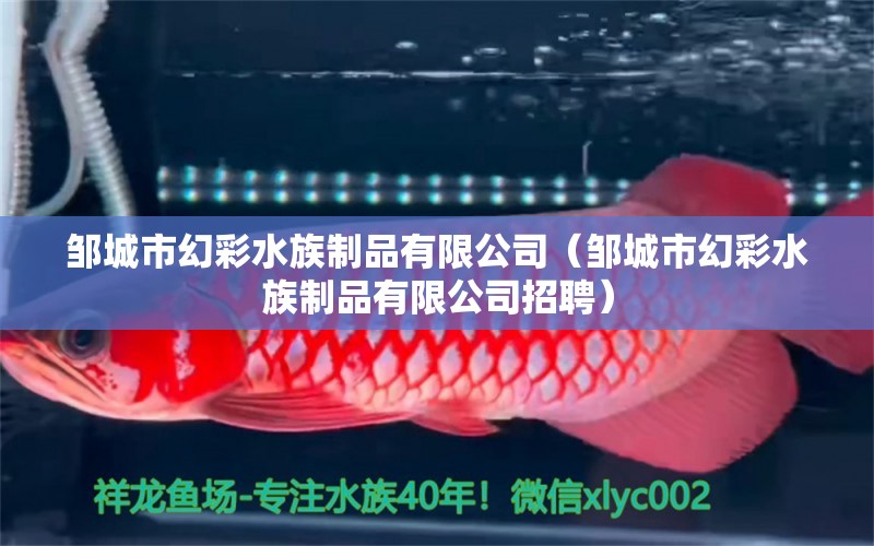 鄒城市幻彩水族制品有限公司（鄒城市幻彩水族制品有限公司招聘） 全國(guó)水族館企業(yè)名錄