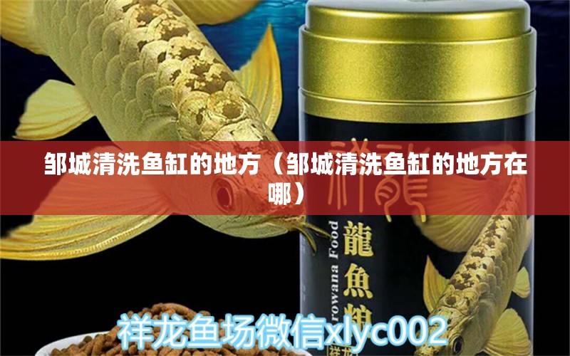 鄒城清洗魚缸的地方（鄒城清洗魚缸的地方在哪） 其他品牌魚缸