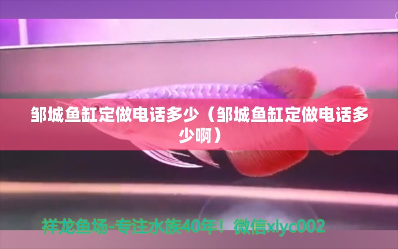 鄒城魚缸定做電話多少（鄒城魚缸定做電話多少?。? title=