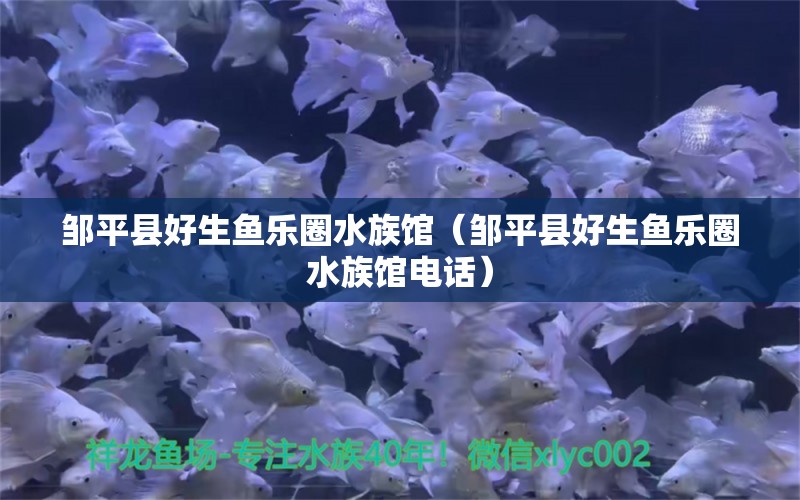 鄒平縣好生魚樂圈水族館（鄒平縣好生魚樂圈水族館電話） 全國(guó)水族館企業(yè)名錄