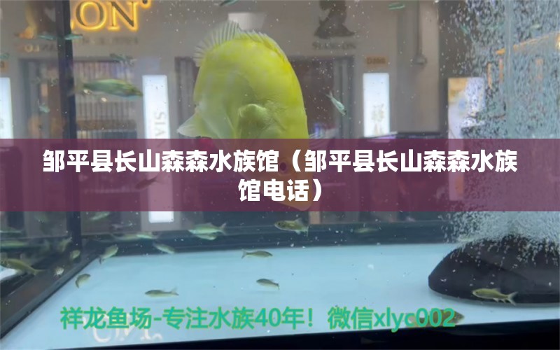 鄒平縣長山森森水族館（鄒平縣長山森森水族館電話） 全國水族館企業(yè)名錄