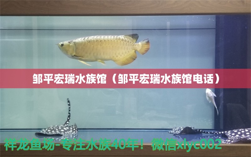 鄒平宏瑞水族館（鄒平宏瑞水族館電話）