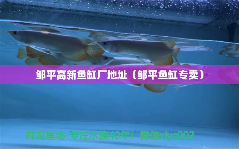 鄒平高新魚缸廠地址（鄒平魚缸專賣）