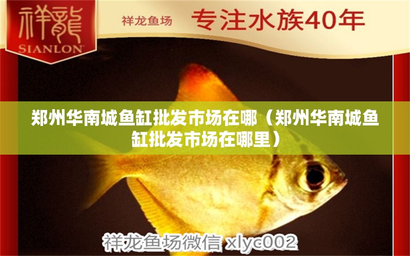 鄭州華南城魚缸批發(fā)市場在哪（鄭州華南城魚缸批發(fā)市場在哪里）