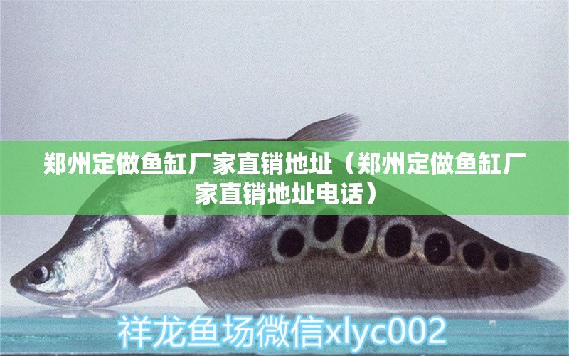 鄭州定做魚缸廠家直銷地址（鄭州定做魚缸廠家直銷地址電話） 其他品牌魚缸