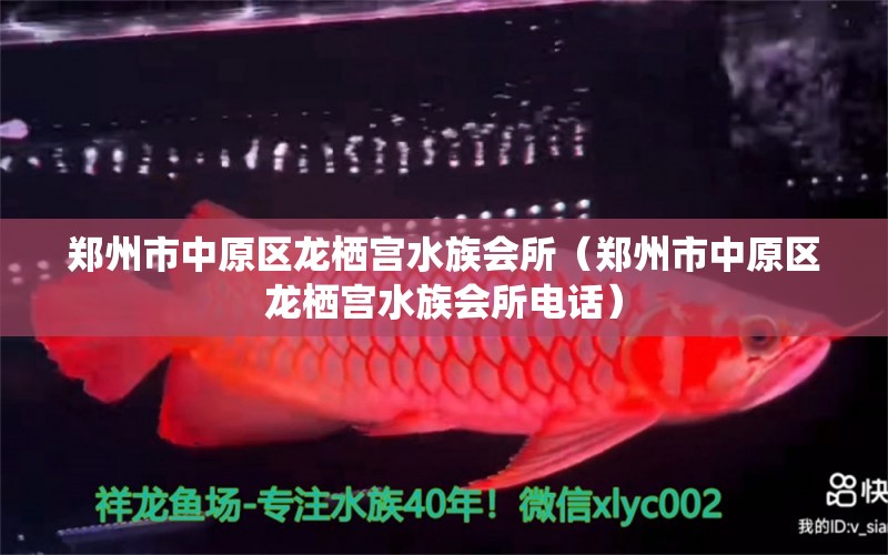 鄭州市中原區(qū)龍棲宮水族會(huì)所（鄭州市中原區(qū)龍棲宮水族會(huì)所電話） 全國(guó)水族館企業(yè)名錄