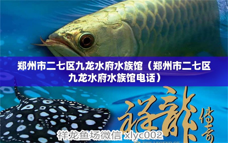 鄭州市二七區(qū)九龍水府水族館（鄭州市二七區(qū)九龍水府水族館電話） 全國水族館企業(yè)名錄