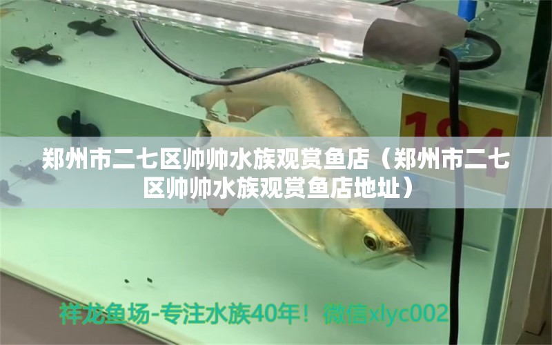 鄭州市二七區(qū)帥帥水族觀賞魚店（鄭州市二七區(qū)帥帥水族觀賞魚店地址）