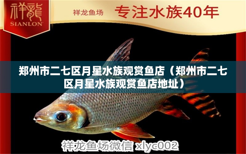 鄭州市二七區(qū)月星水族觀賞魚店（鄭州市二七區(qū)月星水族觀賞魚店地址）