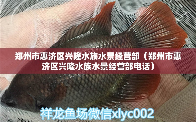 鄭州市惠濟區(qū)興隆水族水景經(jīng)營部（鄭州市惠濟區(qū)興隆水族水景經(jīng)營部電話）