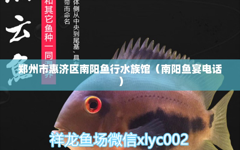 鄭州市惠濟區(qū)南陽魚行水族館（南陽魚宴電話）